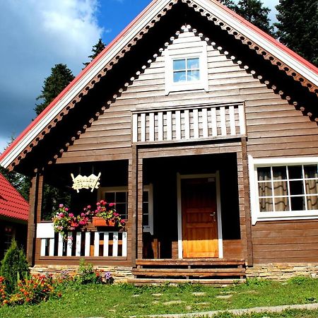 Alpine Ski Chalet Borovets With Sauna Villa Eksteriør billede