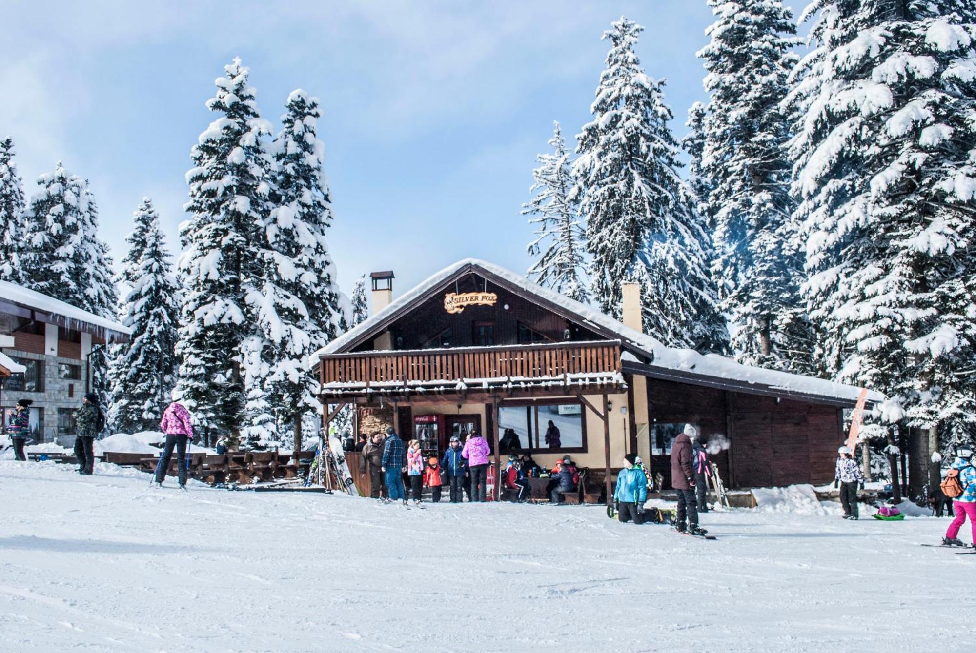 Alpine Ski Chalet Borovets With Sauna Villa Eksteriør billede