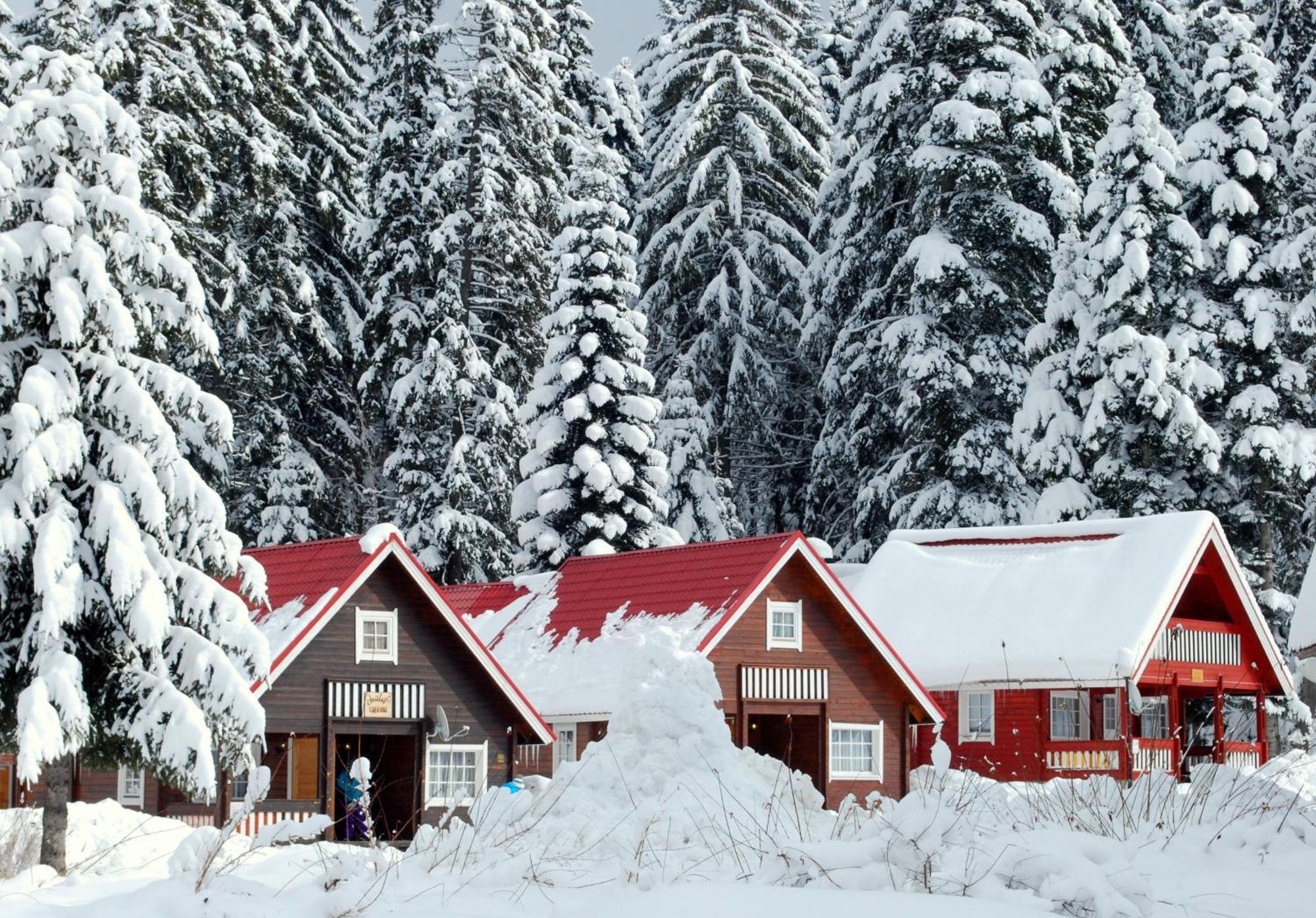 Alpine Ski Chalet Borovets With Sauna Villa Eksteriør billede