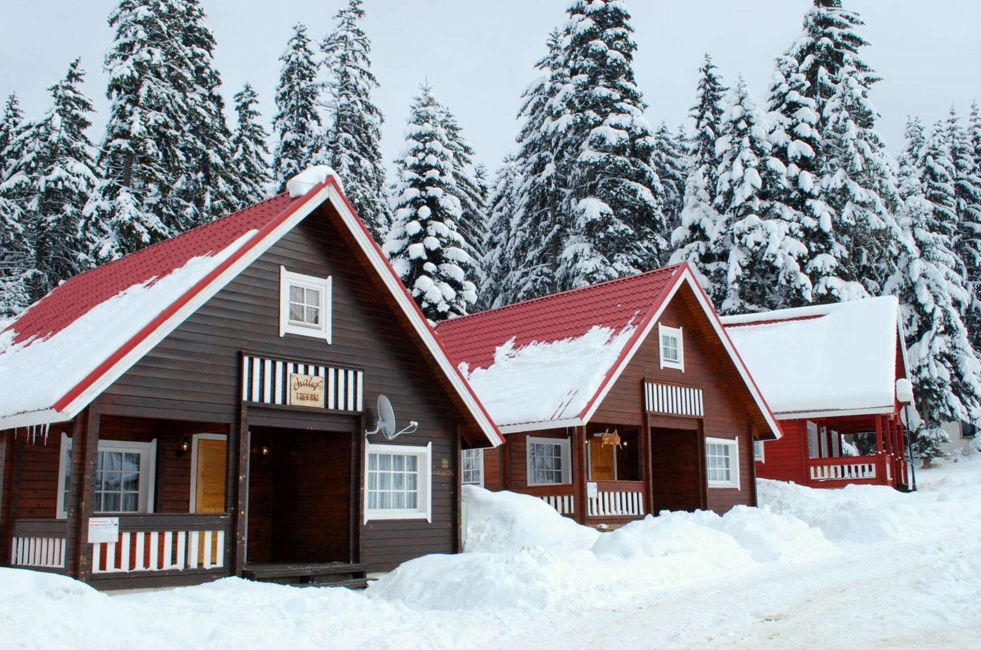 Alpine Ski Chalet Borovets With Sauna Villa Eksteriør billede