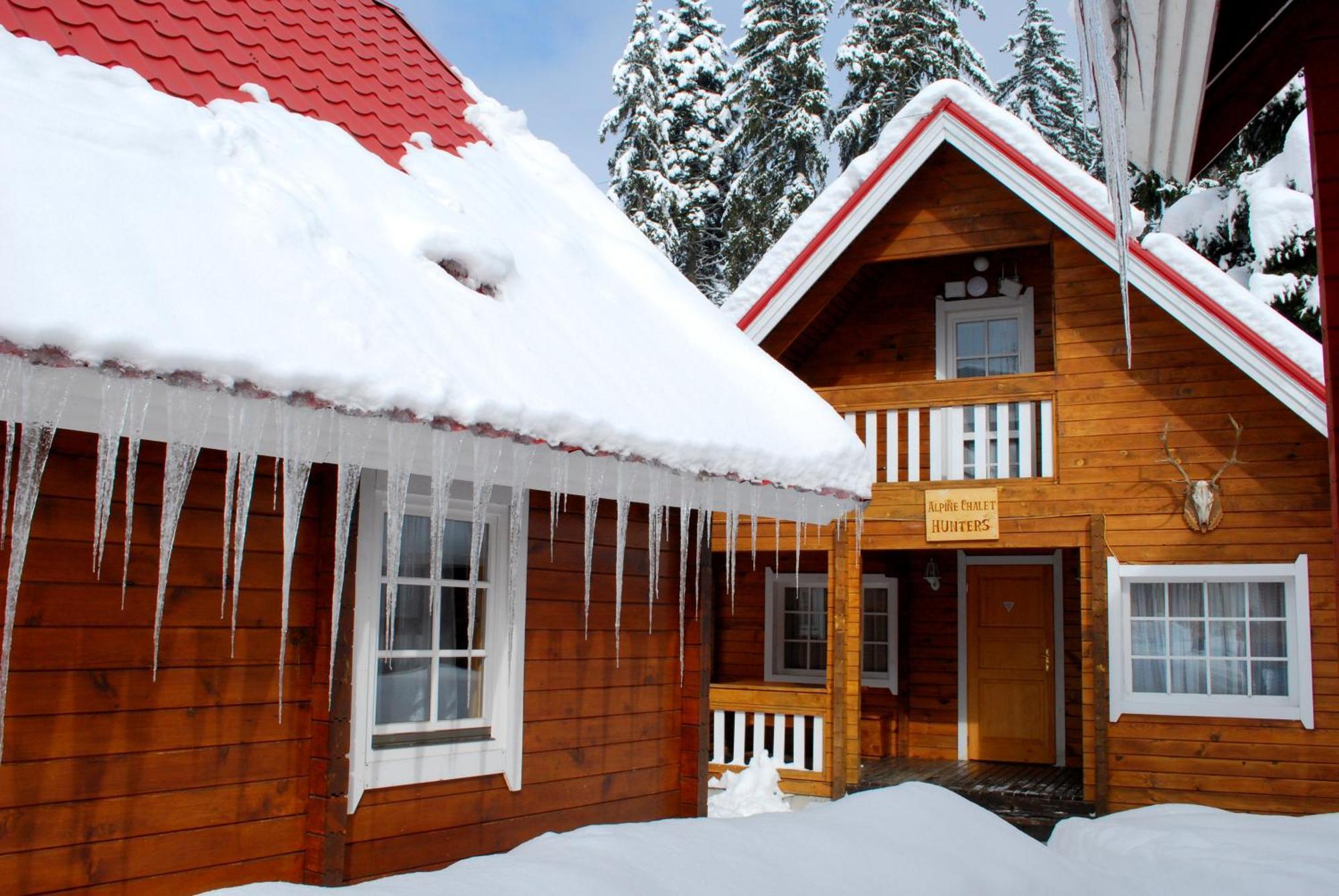 Alpine Ski Chalet Borovets With Sauna Villa Værelse billede